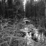 Hackenbuch am See (6 von 6)