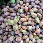 Herbst Minis (12 von 12)