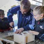 Insektenhotelbau (7)