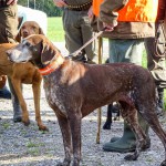 Jagd Moosdorf (5 von 6)