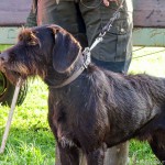 Jagd Moosdorf (6 von 6)