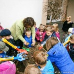 Kartoffelpyramide (2 von 15)