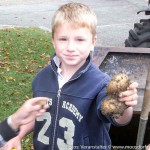 Kartoffelpyramide (4 von 15)