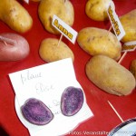 Kartoffelpyramide (9 von 15)