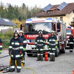 TLF Abzeichen FF (6 von 12)