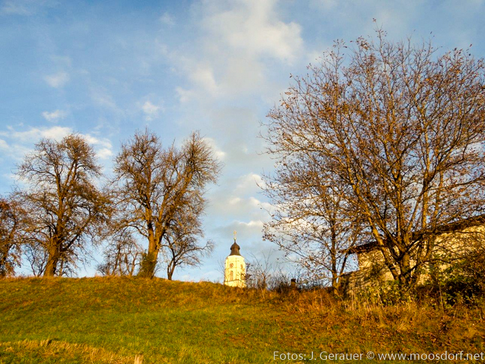 Herbstfarben (1 von 7)