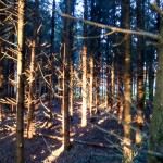 Herbstfarben (7 von 7)