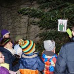 Dorfweihnacht Impressionen (29 von 54)