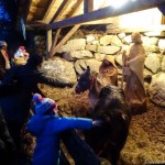 Gesunde Gemeinde Adventwanderung (11 von 22)