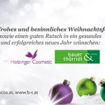 Holz Bauer Xmas 139x90 RZ.indd