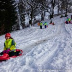 Bobfahren Volksschule Moosdorf (1 von 2)