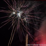 Feuerwerk 2014 (5 von 9)