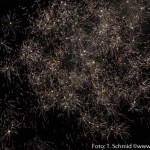Feuerwerk 2014 (7 von 9)