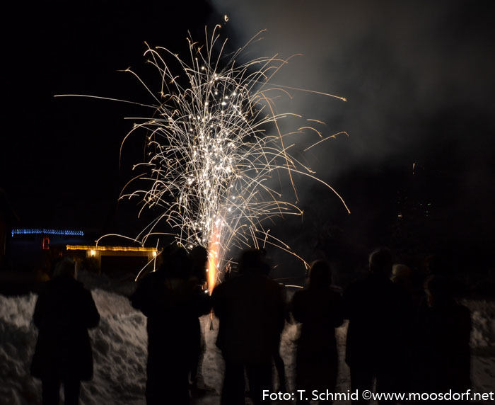 Feuerwerk 2014 (8 von 9)