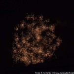 Feuerwerk 2014 (9 von 9)
