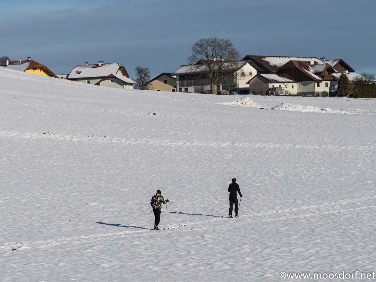 Langlauf Moosdorf (1 von 1)