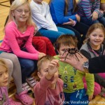 Reptiliien Volksschule (3 von 7)