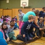 Reptiliien Volksschule (6 von 7)