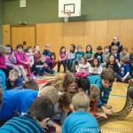 Reptiliien Volksschule (7 von 7)