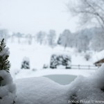 Sylvester Impressionen (1)