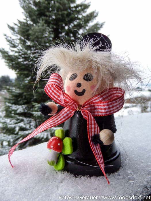 Sylvester Rauchfangkehrer (1 von 4)