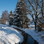 Winterwanderung (14 von 31)