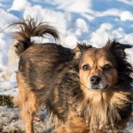 Winterwanderung (19 von 31)