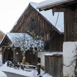 Winterwanderung (22 von 31)