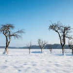 Winterwanderung (23 von 31)