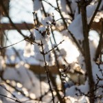 Winterwanderung (27 von 31)