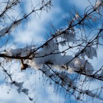 Winterwanderung (28 von 31)