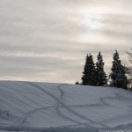 Winterwanderung (3 von 31)