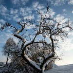 Winterwanderung (30 von 31)