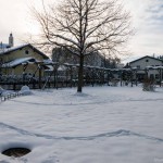 Winterwanderung (7 von 31)