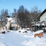 Winterwanderung (8 von 31)