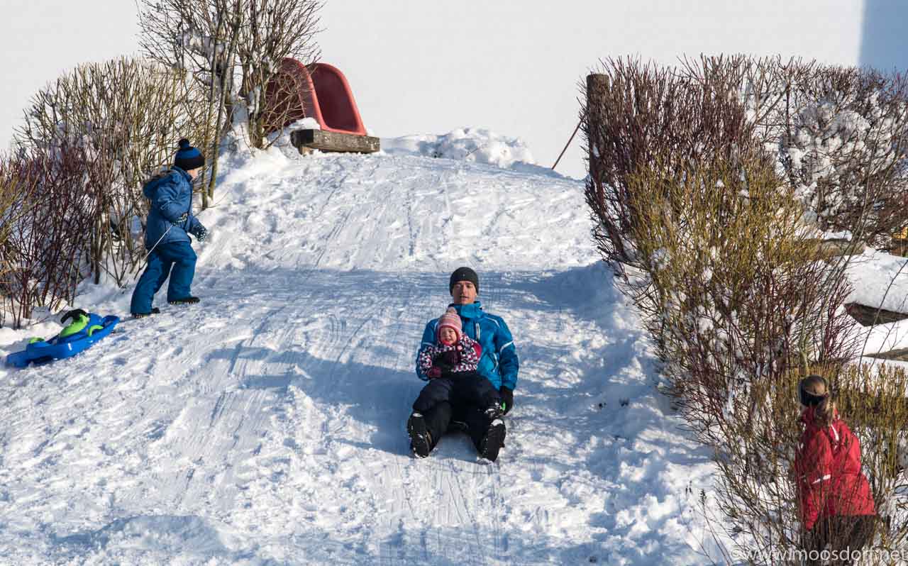 Winterwanderung (9 von 31)