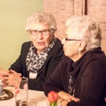 JHV Arge Kultur 2015 (11 von 25)