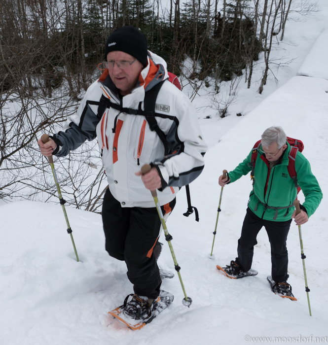 Schneeschuwandern (1 von 1)