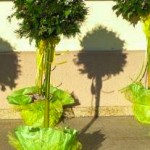 Frühling (1 von 10)