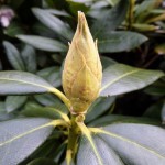 Frühling (10 von 10)