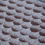 Frühling (3 von 10)