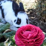 Coole Ostern (1 von 7)