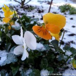 Coole Ostern (2 von 7)