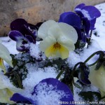 Coole Ostern (3 von 7)