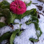 Coole Ostern (4 von 7)