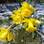 Coole Ostern (5 von 7)