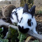 Coole Ostern (6 von 7)