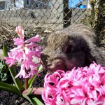 Coole Ostern (7 von 7)