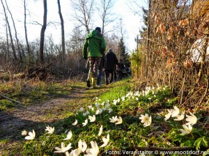 Emmausgang Ostern (4 von 11)