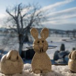 Frohe Ostern (1 von 1)